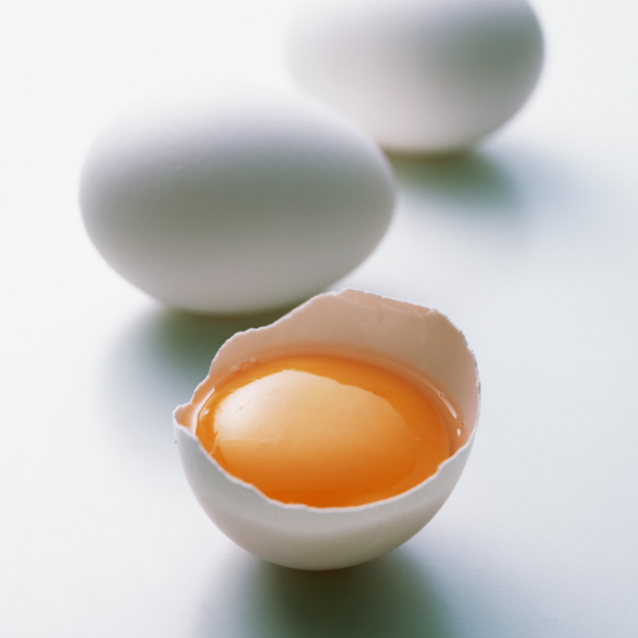 Professional Logo Redesign and Rebranding Services